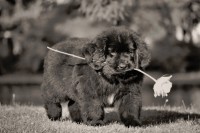 /album/fotogalerij1/marielle-3-jpg/